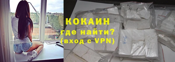 индика Киреевск