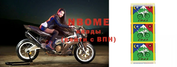 индика Киреевск