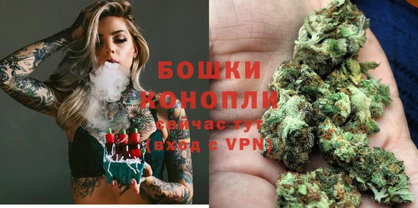 spice Козловка