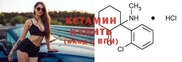 индика Киреевск