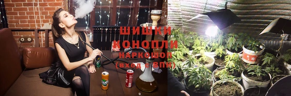spice Козловка