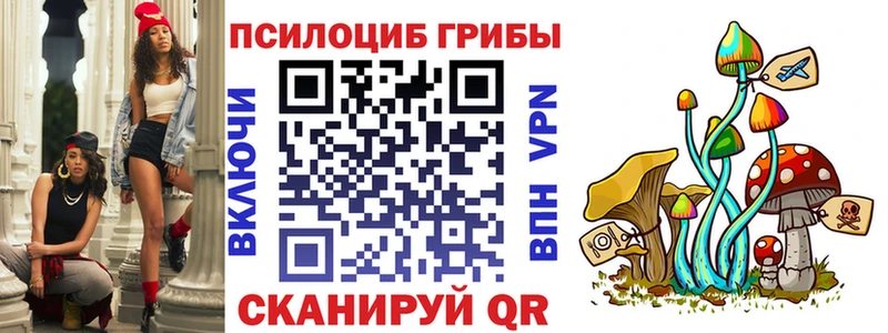 даркнет как зайти  где найти   Кирсанов  Галлюциногенные грибы Psilocybe 